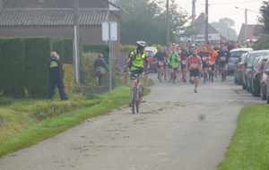 561d545d39773_P1190090.JPG