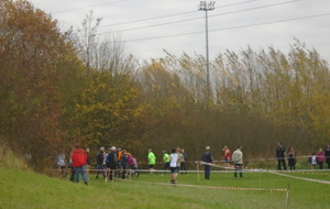 564ead8c314bc_DSC01753.JPG