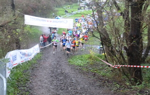 566744b8c363f_P1200108.JPG