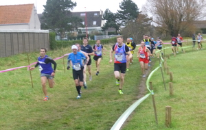 56674cd214838_P1200140.JPG