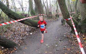 5c30fa423404a_IMG3465.JPG