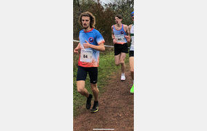 673b91726d152_crossharnes.png