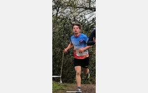 673b917fd3223_crossharnes3.png